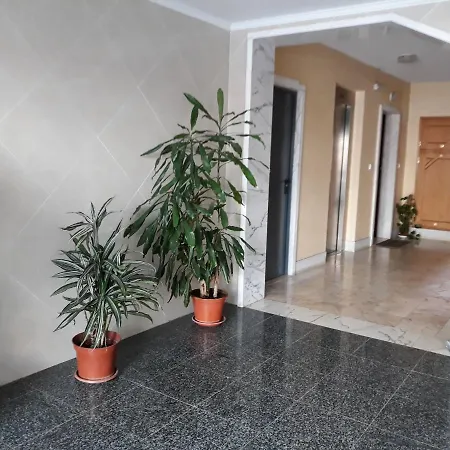 To Sea エリセイラ